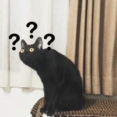 DƬ